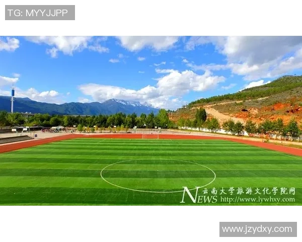 中医药大学足球场周边环境与设施提升研究及其对校园文化的影响分析